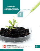 libro McGraw Hill