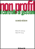 Non profit - Il controllo di gestione 2/ed