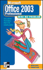 Microsoft Office 2003 Professional mini no problem