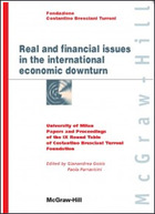 Real and financial issues in the international economic downturn 